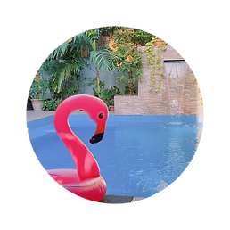 A mini affordable private pool for rentin Metro Manila